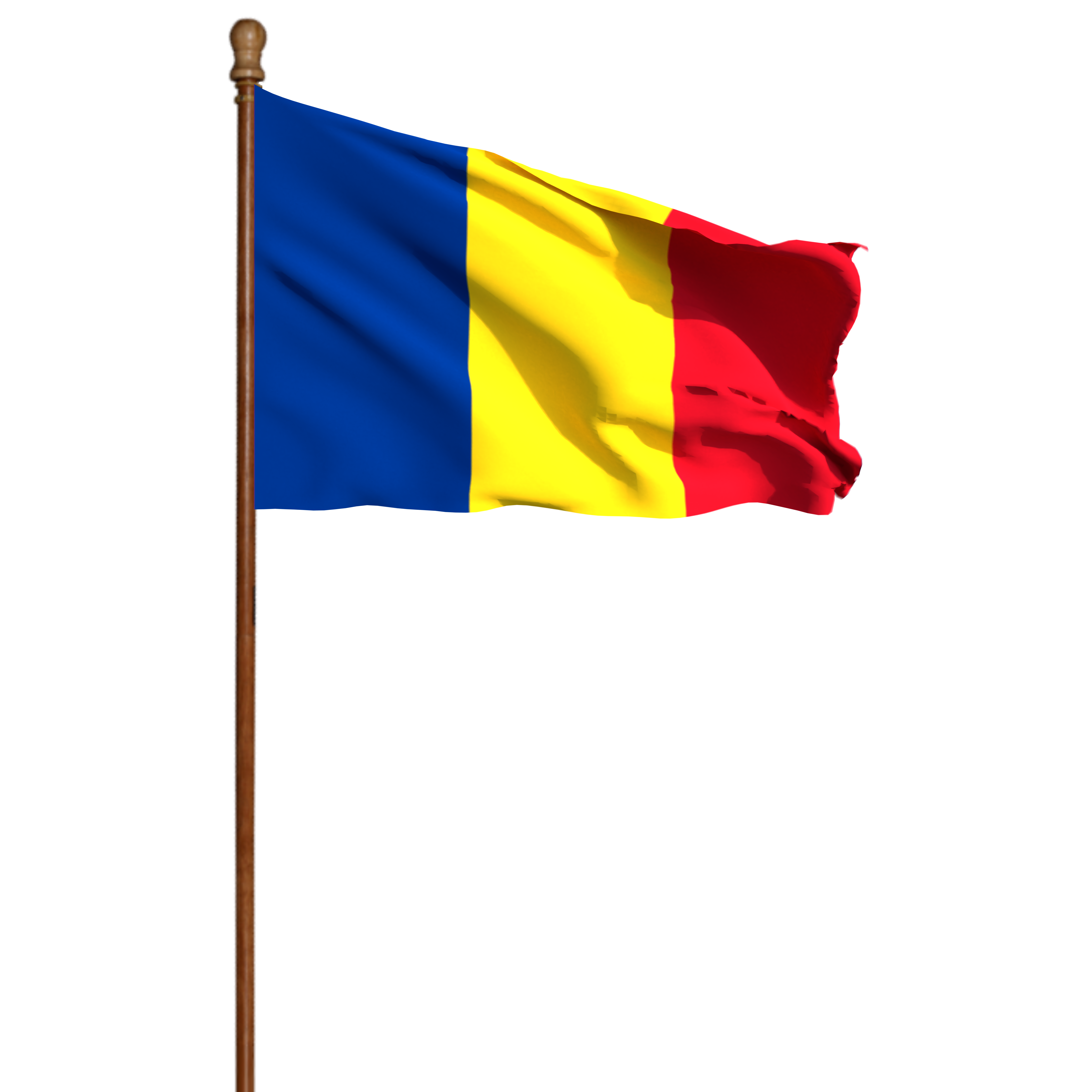 Romanian Flag